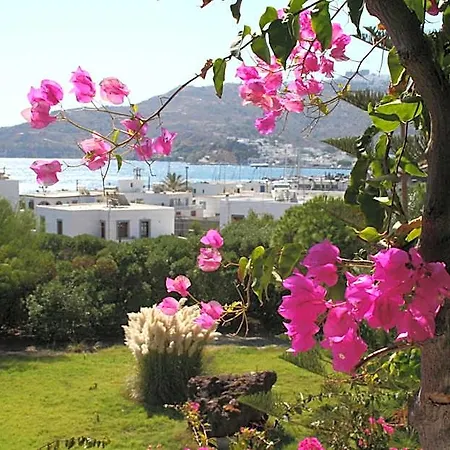 Asteri Hotel Skala (Patmos)